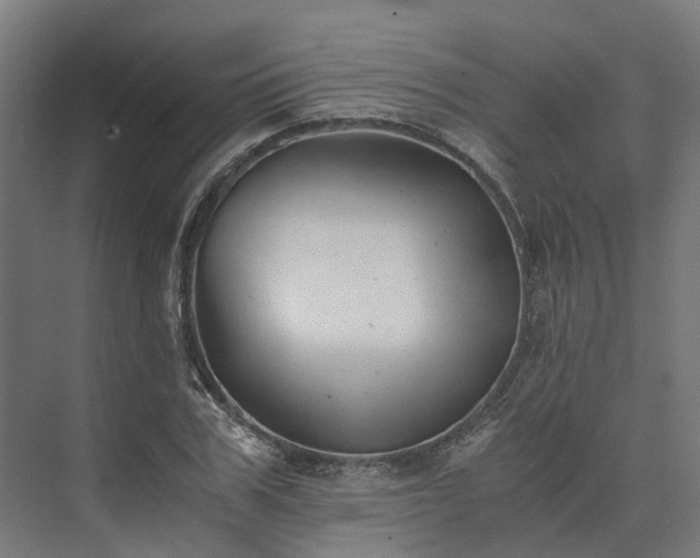 X0000073840979200608171002