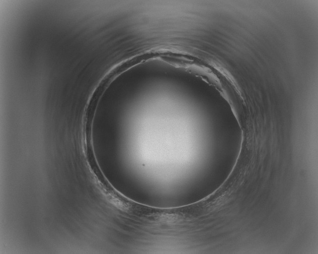 X0000073840984200608171002