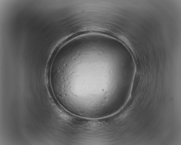 X0000073840987200608171002