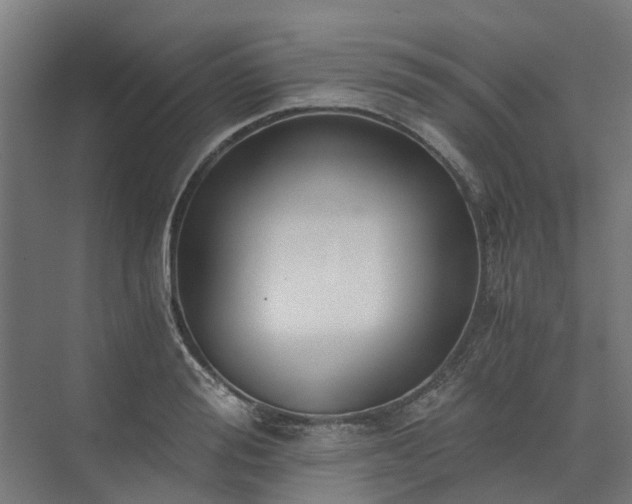 X0000073840988200608171002