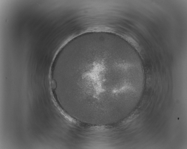 X0000073840990200608171002