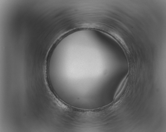 X0000073840992200608171002