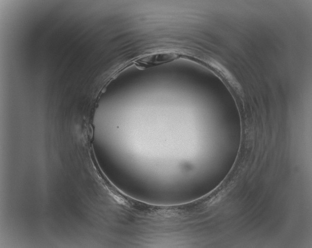 X0000073840993200608171002