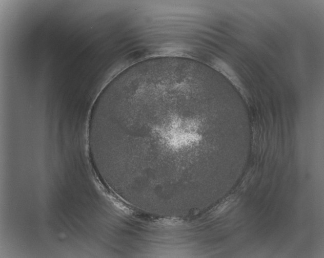 X0000073840994200608171002