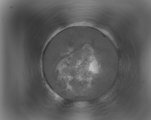 X0000073840998200608171002