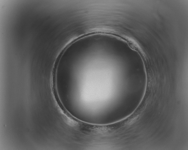 X0000073840999200608171002