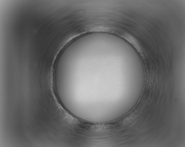 X0000073841000200608171002