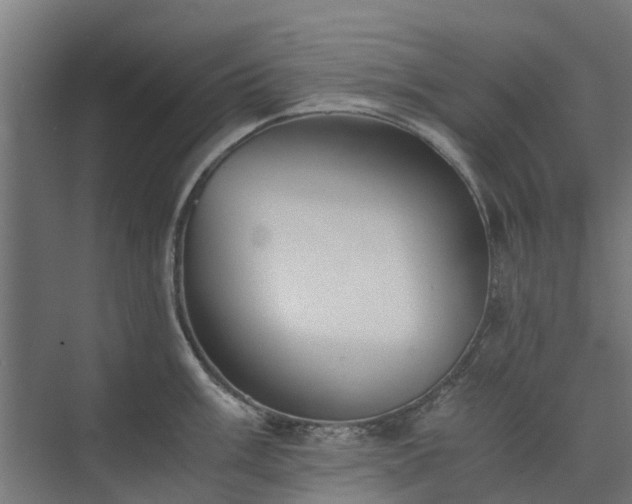 X0000073841003200608171002