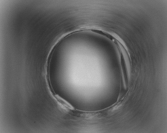 X0000073841005200608171002