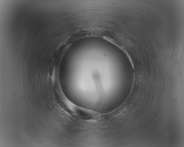 X0000073841010200608171001