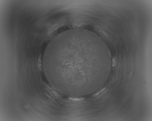 X0000073841011200608171001