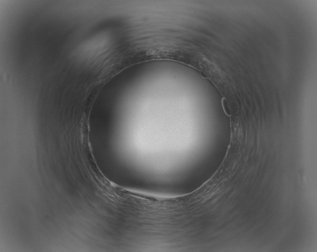 X0000073841012200608171001