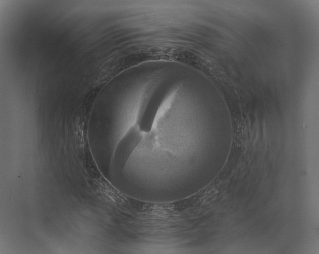 X0000073841013200608171001