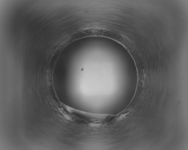 X0000073841014200608171001