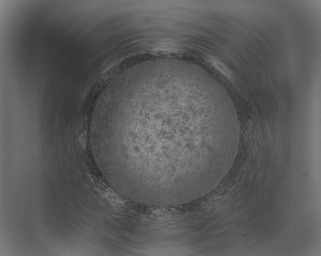 X0000073841015200608171001