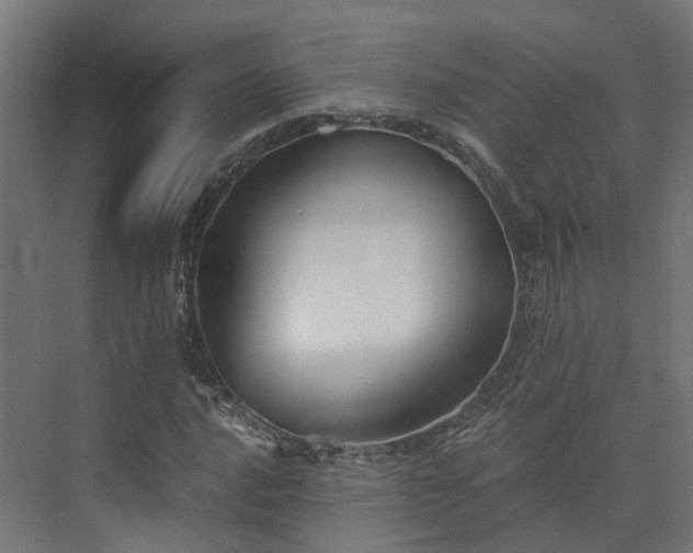 X0000073841016200608171001