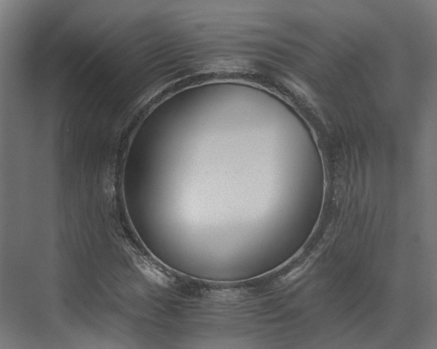 X0000073841017200608171001