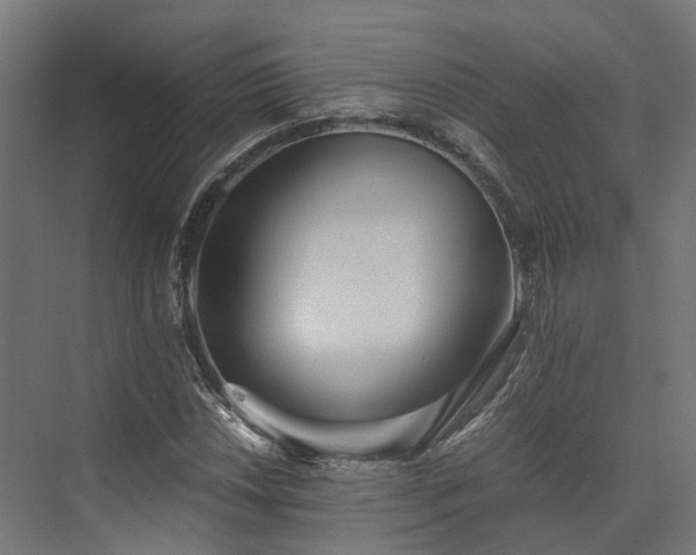 X0000073841018200608171001