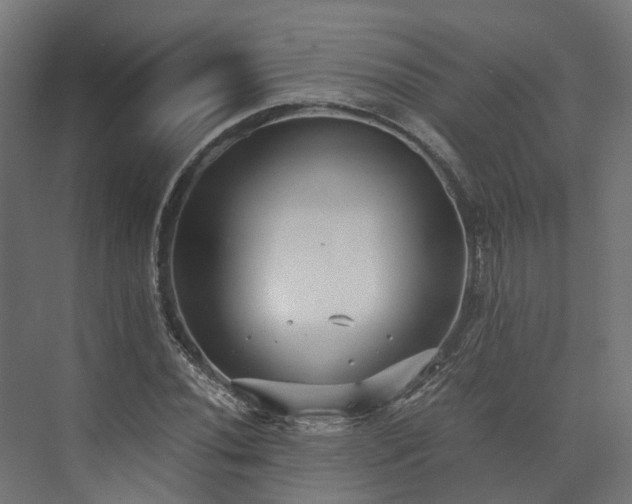 X0000073841020200608171001