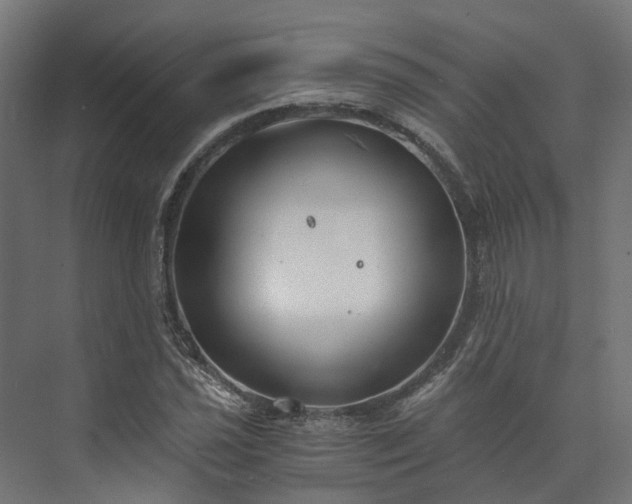 X0000073841021200608171001