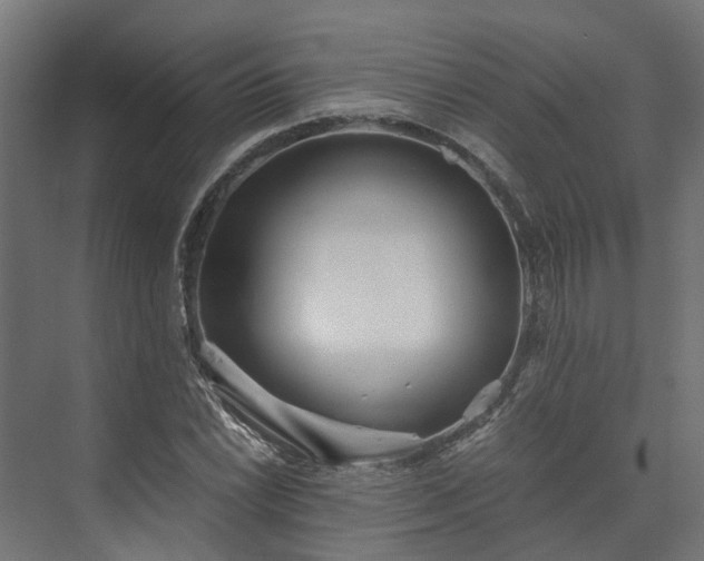 X0000073841022200608171001