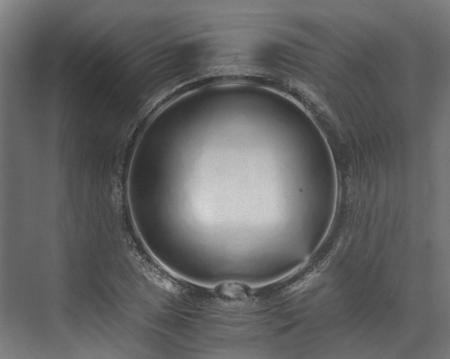 X0000073841025200608171001