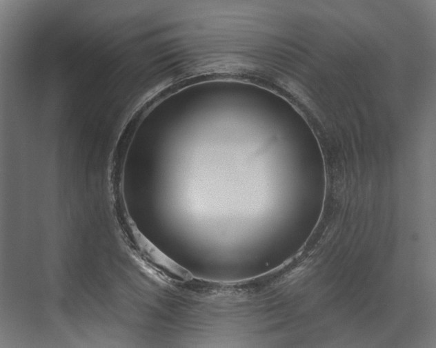 X0000073841026200608171001