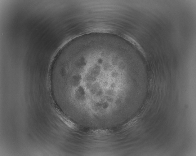 X0000073841027200608171001