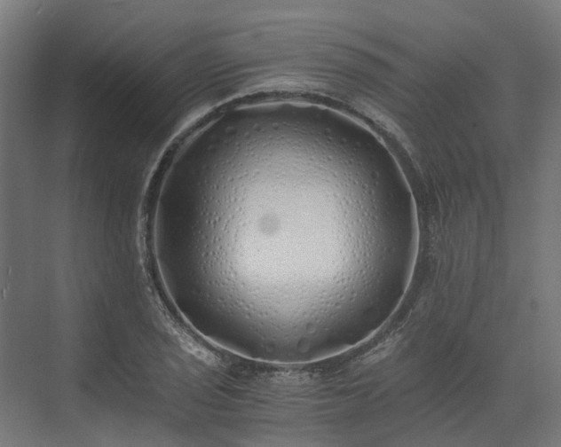 X0000073841029200608171001