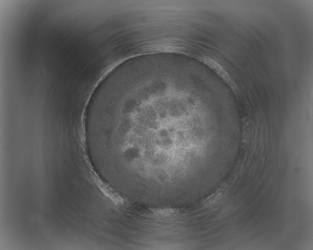 X0000073841031200608171001