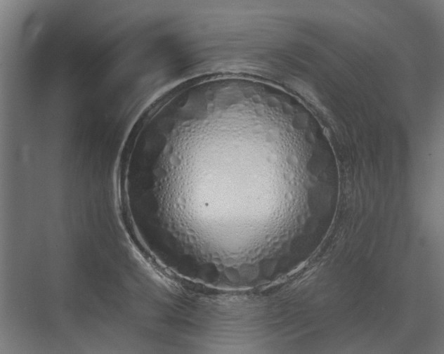 X0000073841032200608171001