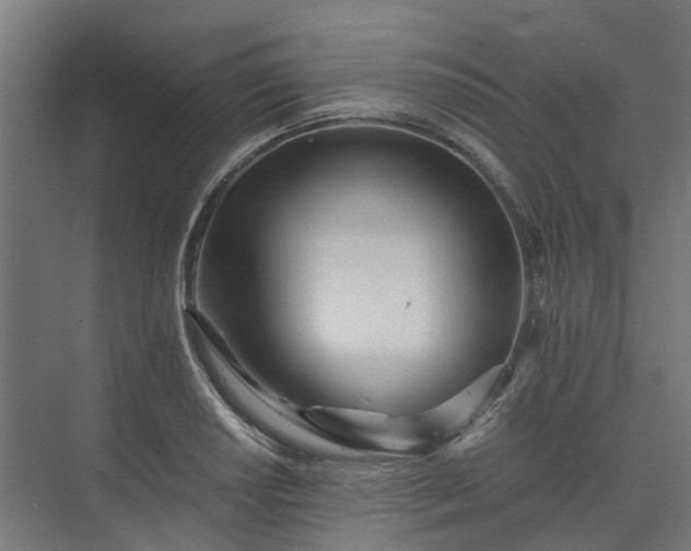 X0000073841034200608171001