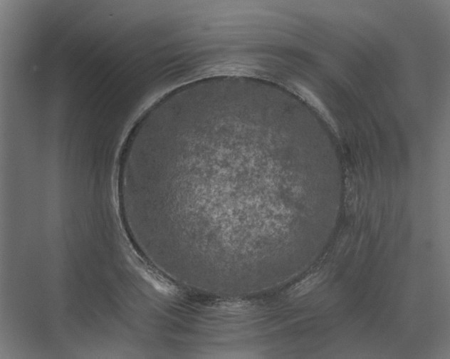 X0000073841035200608171001