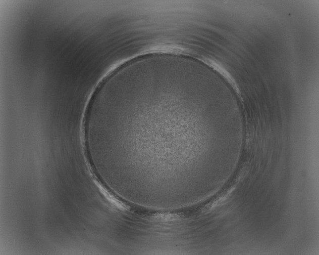 X0000073841037200608171001