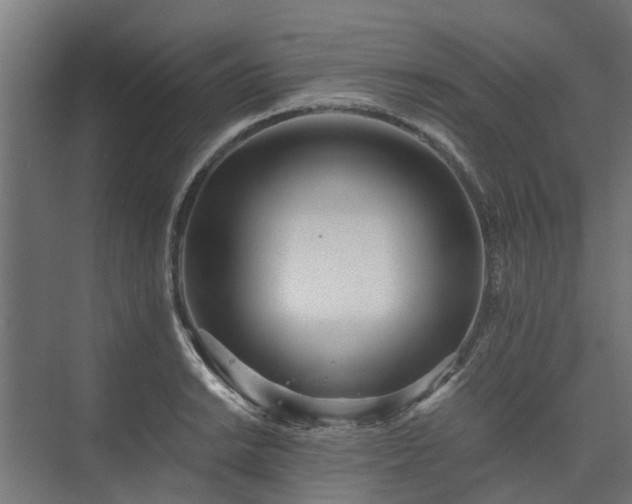 X0000073841038200608171001