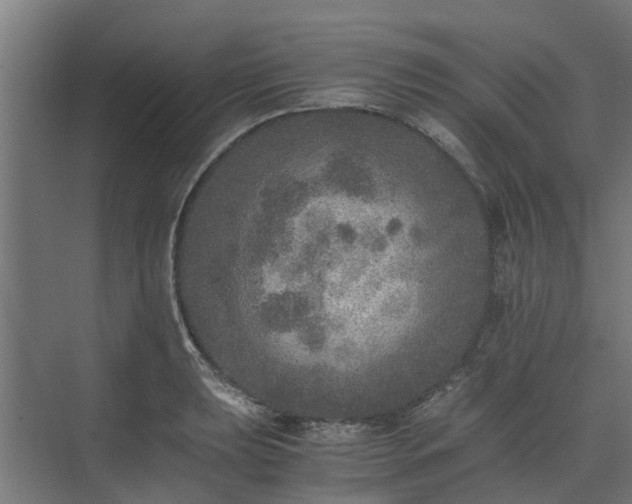 X0000073841039200608171001