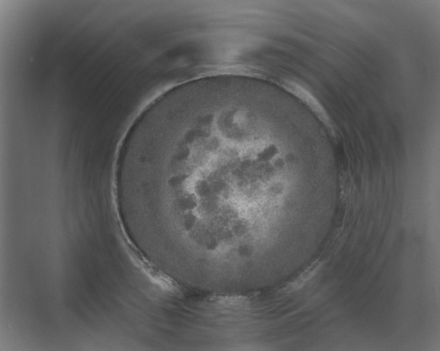 X0000073841043200608171002