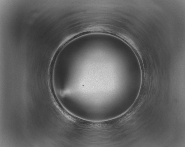 X0000073841045200608171002