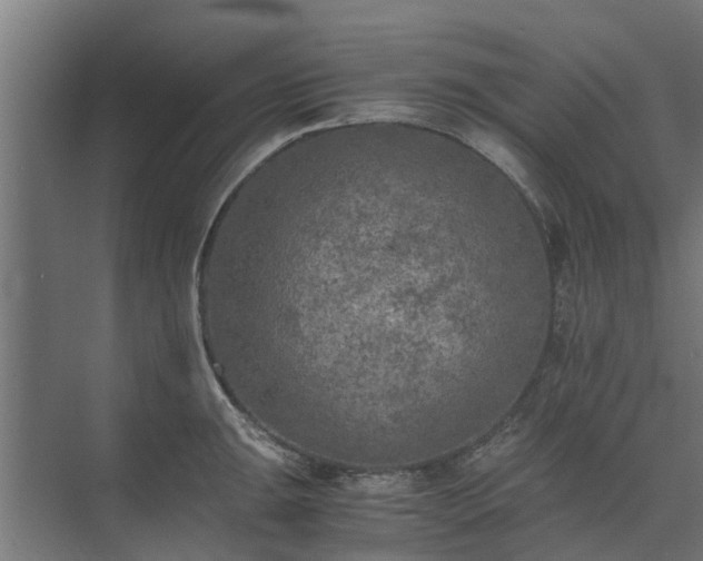 X0000073841047200608171002