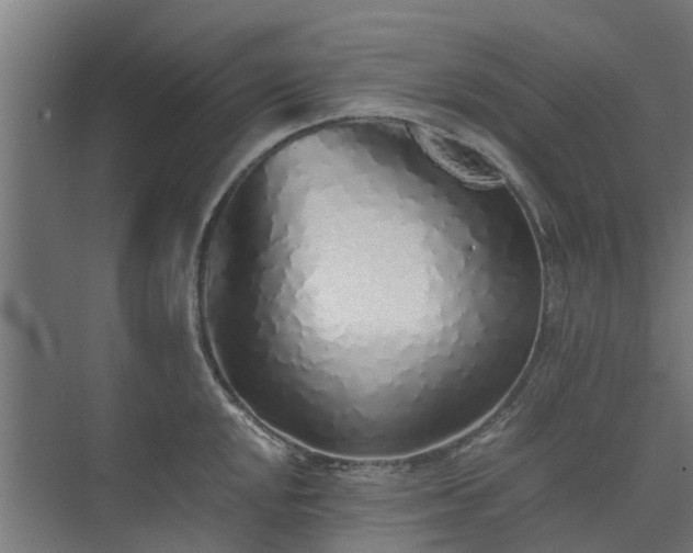 X0000073841048200608171002