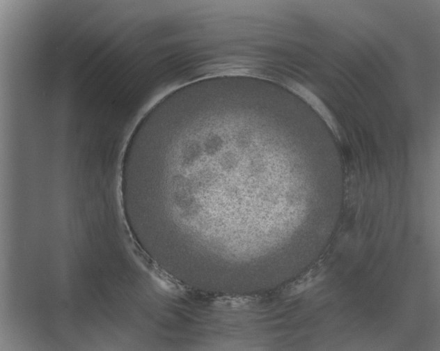 X0000073841051200608171002