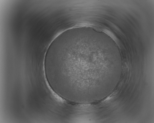 X0000073841055200608171002