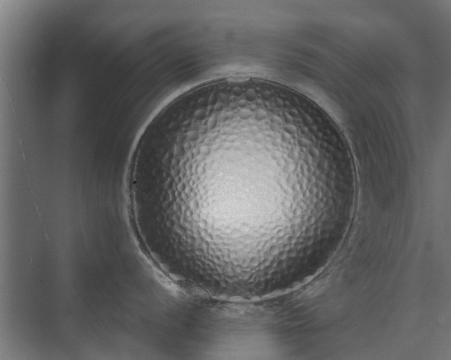 X0000073841056200608171002