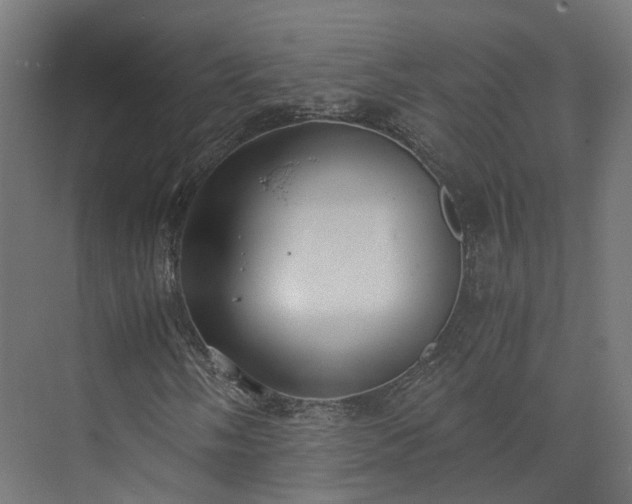 X0000073841058200608171001