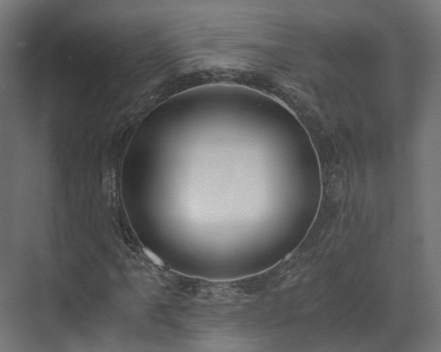 X0000073841061200608171001