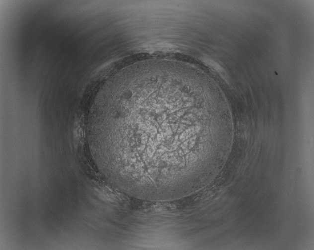 X0000073841063200608171001