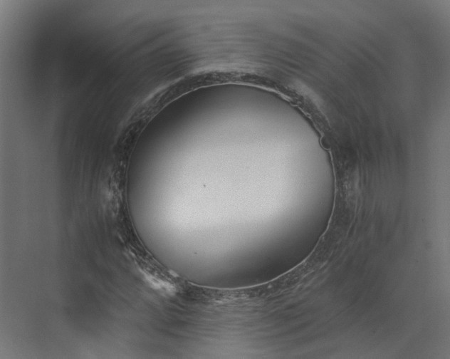 X0000073841064200608171001