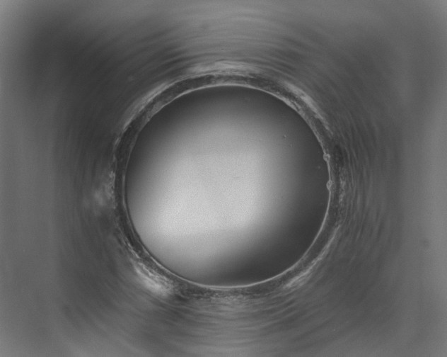 X0000073841066200608171001