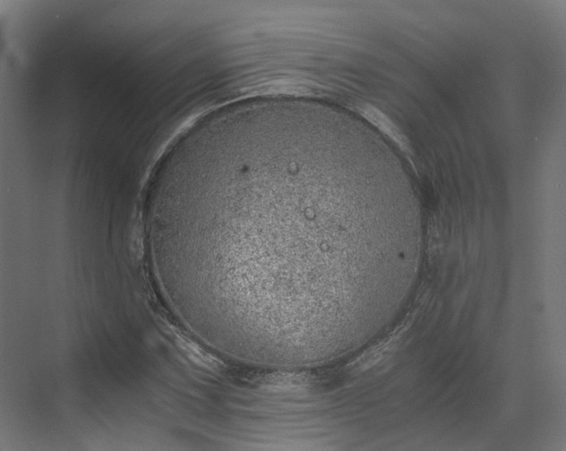 X0000073841067200608171001