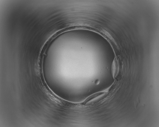 X0000073841068200608171001